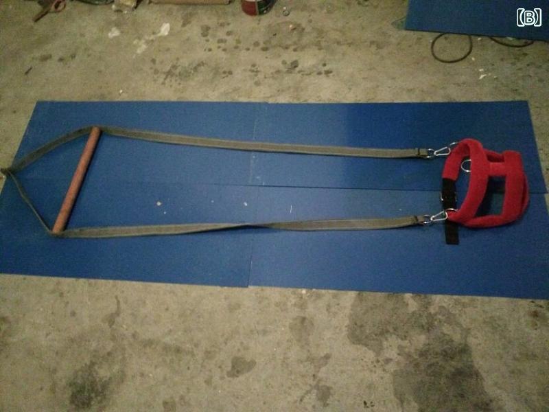 犬用ハーネス 大型犬 ピットブル 訓練用品 綿入り 首輪付き ペットグッズ コントロ...