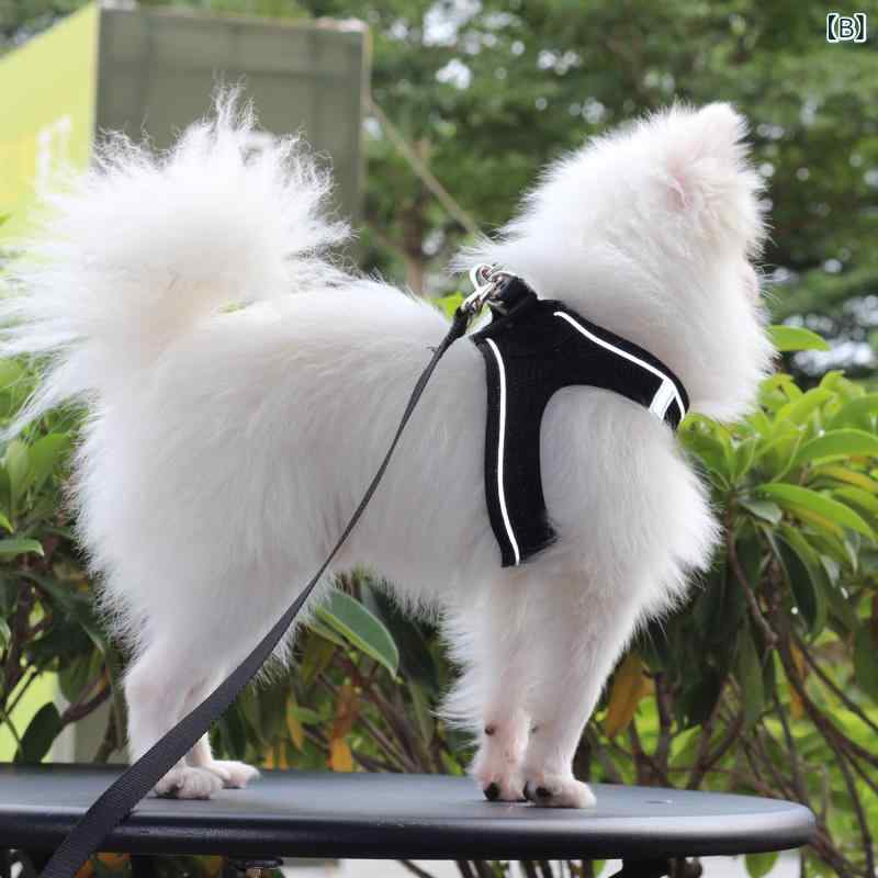 ハーネス 猫用 背心式 脱走防止 散歩リード 小型犬対応 安全 軽量 快適 調整式 ペ...