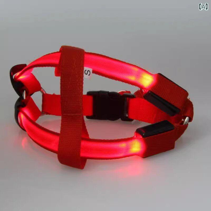 犬用 ハーネス リード LED 発光 夜光 チェーン 小型犬 USB 充電 散歩用 夜間対応 ...