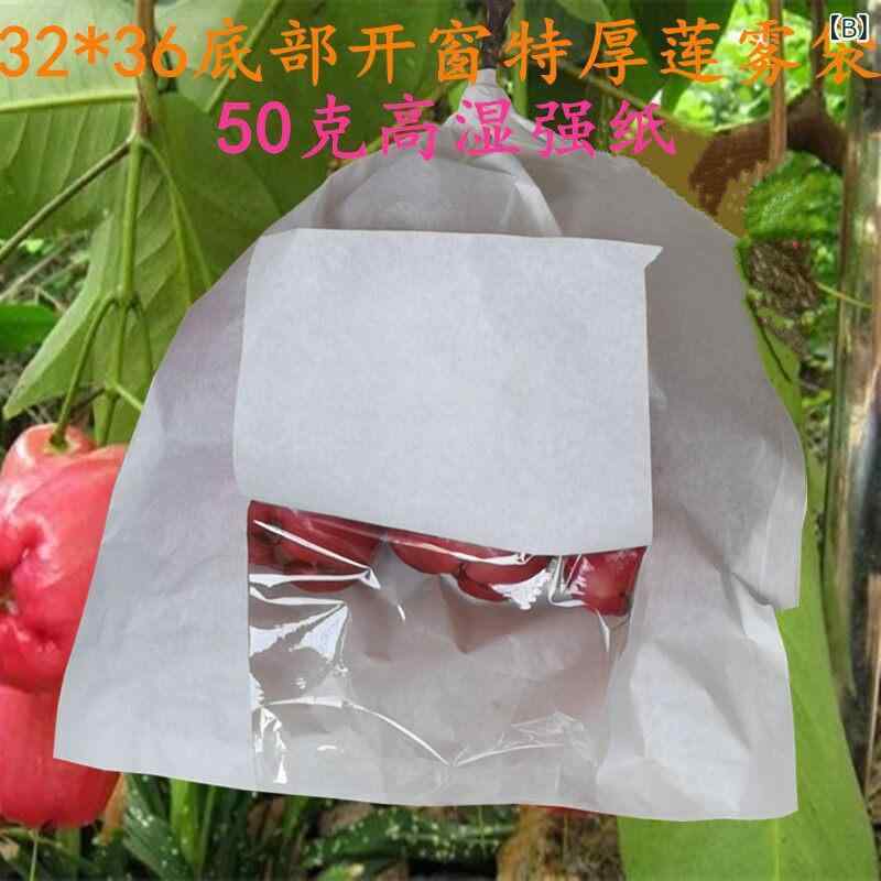 果実保護袋 ロータン専用 厚手紙製 半透明 開窓式 下掀式 通気性 耐久 保存用 収穫...