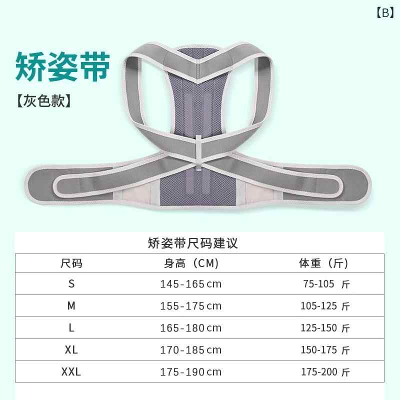 姿勢矯正ベルト メンズ レディース 目立たない 成人用 座り姿勢矯正 立ち姿勢矯正 ...