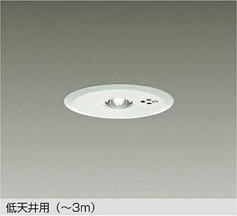 大光電機 (DAIKO) 非常灯 DEG-40210WF【工事必要型】