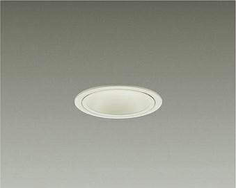 ����ŵ�(DAIKO)DDL-CD029WĴ��������饤�ȡڹ���ɬ�׷���