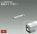 大光電機 (DAIKO)アウトドアラインライトLZW-91603LTE【工事必要型】