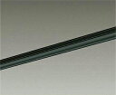 大光電機 (DAIKO) DP-00212K 直付専用ダクトレール2m DAIKO【工事必要型】