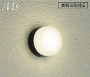 大光電機(DAIKO)浴室灯DWP-41761Y【工事必要型】