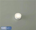 大光電機 (DAIKO) DP-41869F LEDランプ DAIKO