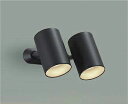 ★☆お買い得☆人気商品☆★ 大光電機 (DAIKO) 色温度切替スポットライト DSL-4721FBG おしゃれ モダン 【工事必要型】