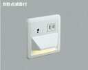 コイズミ照明 (KOIZUMI) フットライト AB39989L おしゃれ モダン 【工事必要型】