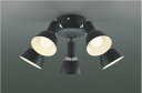 ★☆お買い得☆人気商品☆★コイズミ照明 (KOIZUMI) インテリアファン灯具 のみAA47473L おしゃれ モダン 【工事必要型】