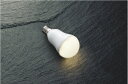 コイズミ照明 (KOIZUMI) LEDランプ AE50523E