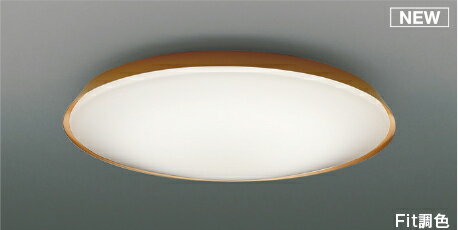 コイズミ照明 (KOIZUMI) AH55822 シーリング KOIZUMI【簡易取付型】