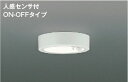 ★☆お買い得☆人気商品☆★コイズミ照明 (KOIZUMI) 小型シーリングライト AH50465 おしゃれ モダン 【工事必要型】