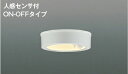 ★☆お買い得☆人気商品☆★コイズミ照明 (KOIZUMI) 防雨型シーリングライト AU50488 おしゃれ モダン 【工事必要型】