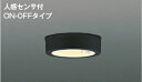 ★☆お買い得☆人気商品☆★コイズミ照明 (KOIZUMI) 防雨型シーリングライト AU50490 おしゃれ モダン 【工事必要型】