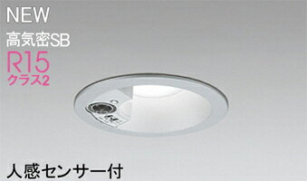 ODELIC(オーデリック)OD261996Rエクステリアライト【工事必要型】