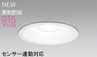 ODELIC(オーデリック)OD361223Rエクステリアライト【工事必要型】