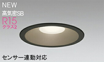 ODELIC(オーデリック)OD361226Rエクステリアライト【工事必要型】