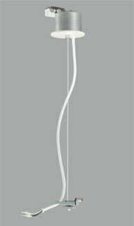 ǥå (ODELIC) ܹʡեѡ OA253431ڹɬ׷