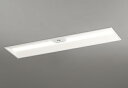 オーデリック(ODELIC)非常用照明器具・誘導灯器具(電球色)XR507011R1E【工事必要型】