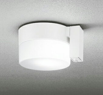 オーデリック(ODELIC)エクステリアライト(昼白色)OG254989NCR【工事必要型】