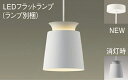 パナソニック(Panasonic) XLGB1062CE1 天井吊下型 LED(電球色) ペンダント アルミセードタイプ・拡散タイプ・直付タイプ LEDフラットランプ交換型 白熱電球60形1灯器具相当(LGB10854+LLD2000LCE1) Panasonic【工事必要型】