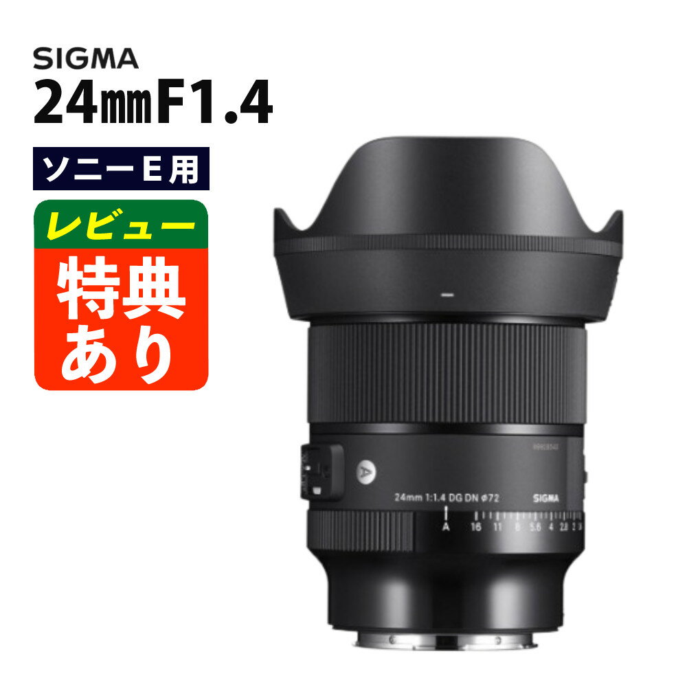 �ʥ�ӥ塼�ǥ�󥺥���åץץ쥼��ȡ˥�� ������ 24mm F1.4 DG DN��A�� ���ˡ�E�ޥ�����ѡ�.QL��