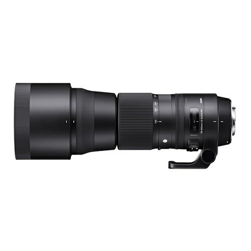 （レビューでレンズキャッププレゼント）シグマ 150-600mm F5-6.3 DG OS HSM（C） ニコンマウント用（みつはぴ）