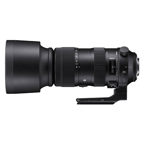 （レビューでレンズキャッププレゼント）シグマ 60-600mm F4.5-6.3 DG OS HSM（S） キヤノンマウント用（ラッピング不可）（みつはぴ）