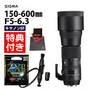 （レビューでレンズキャッププレゼント）【ケンコー高品質フィルターセット】シグマ 150-600mm F5-6.3 DG OS HSM (C) キヤノン用＆ケンコー ZXII プロテクター・レンズペン・クロス2枚セット（みつはぴ）