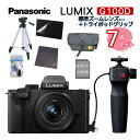 (OrEobO7_Zbg) Panasonic pi\jbN ~[XJ LUMIX DC-G100DV-K ~[XJ WY[YLbg{gC|bhObv ^ VlogBe 4K ȒP 5nCubgu␳ibsOsji݂͂ҁj