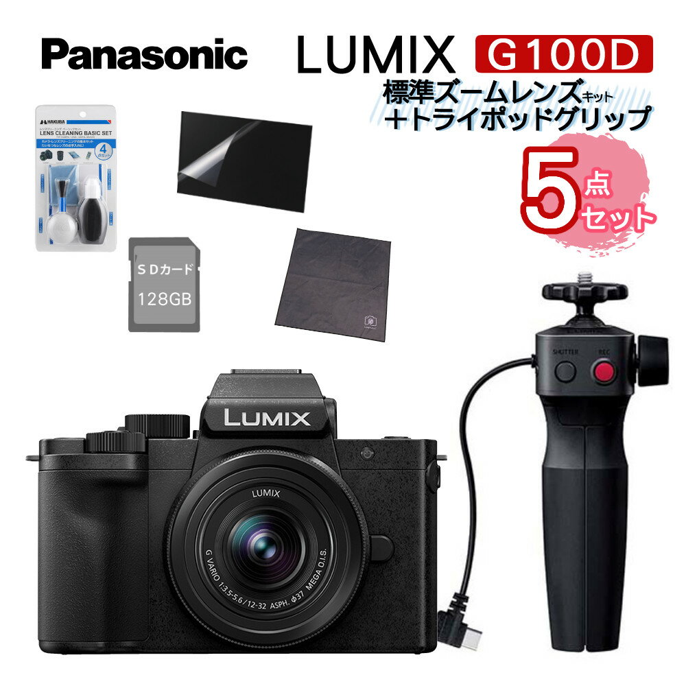 (SDENX5_Zbg) Panasonic pi\jbN ~[XJ LUMIX DC-G100DV-K ~[XJ WY[YLbg{gC|bhObv ^ VlogBe 4K ȒP 5nCubgu␳ibsOsji݂͂ҁj