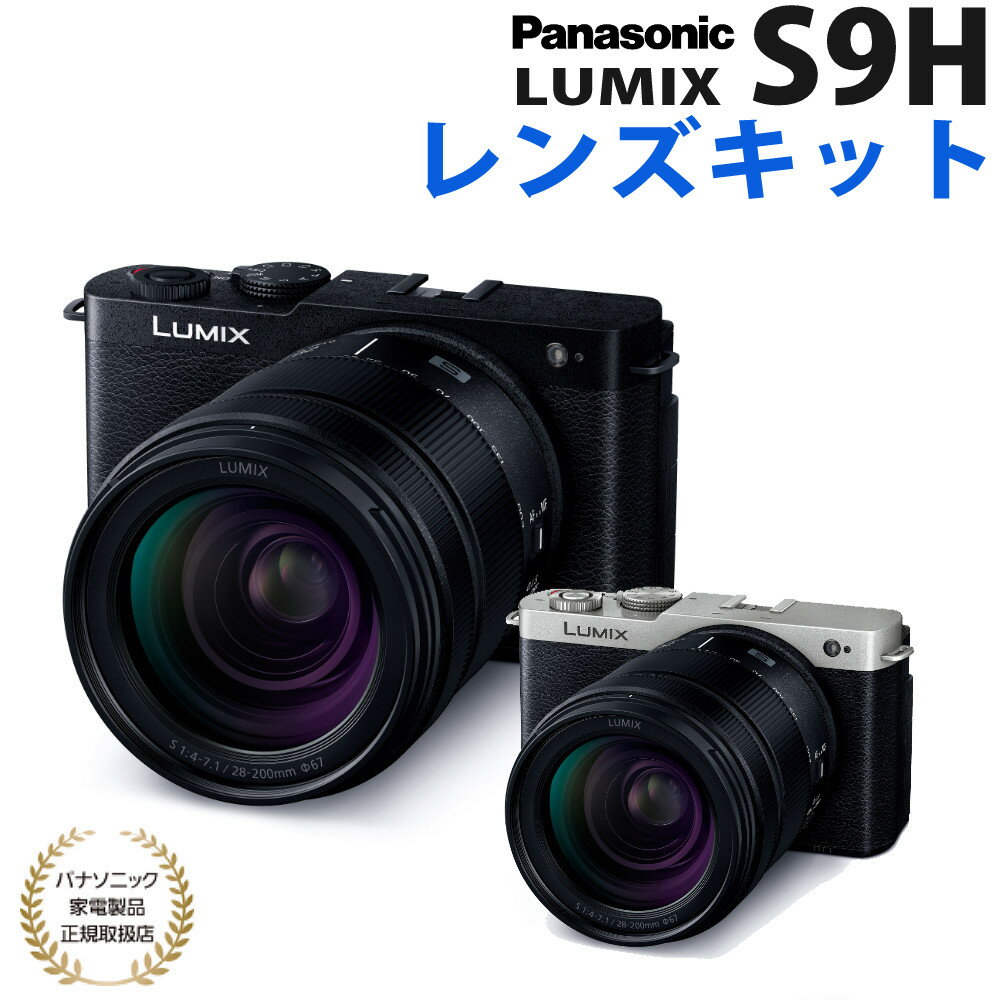 パナソニック ミラーレスカメラ LUMI