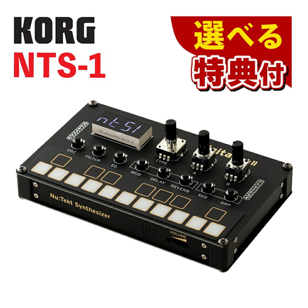 ★豪華10種から選べる特典★ KORG NTS-1 digital kit mkII コルグ DIY シンセサイザー デジタルシンセ コンパクトシンセ シンセキット 楽器 初心者 音楽制作ツール シンセサイザー 組み立て 小型シンセサイザー コントローラー USB電源（ラッピング不可）（みつはぴ）