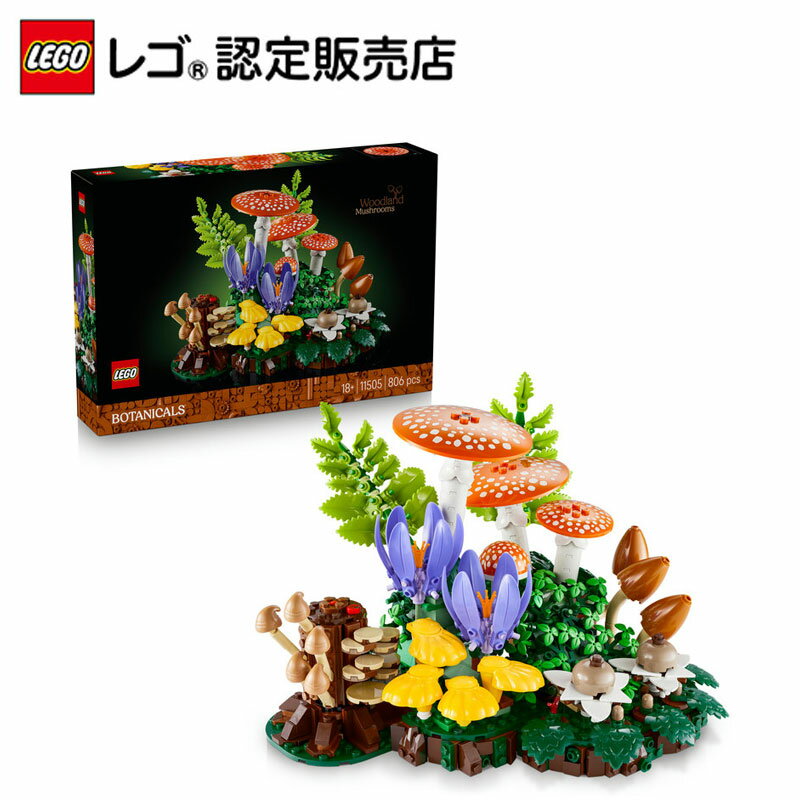 レゴ スーパーマリオ マリオカート ベビィマリオ vs ベビィルイージ 72034【新品】 LEGO Super Mario 知育玩具 【宅配便のみ】