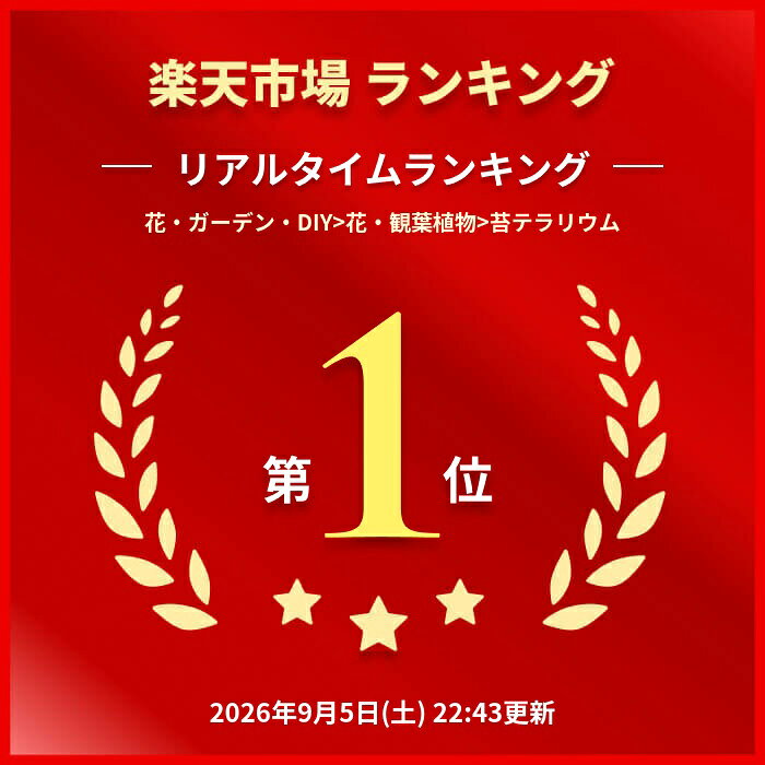 【レゴ 認定販売店】 レゴ アイコン 禅ガーデン 10315 おもちゃ 玩具 誕生日 プレゼント ブロック LEGO 母の日 父の日 男性 女性 benelic-lcs-10002844 ベネリック レゴストア楽天市場店 サンプル画像2