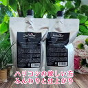 【 公式 】 シーブリエ スムース シャンプー 600ml 詰め替え 2個セット shebriller