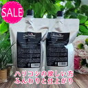 【 公式 】 シーブリエ スムース シャンプー 600ml 詰め替え 2個セット shebriller