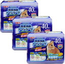 ジェックス GEX TopBreeder 清潔消臭トイレシーツ40枚入×3個セット　 ウサギ 小動物 吸収トイレシーツ 健康チェックトイレ しつけ 清潔シーツ ペット用品 ペットケア ペット専用　まとめ買い