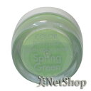 メール便送料無料 3Dカラーパウダー3.5g Spring Green ネイル パウダー 3Dパウダー スカルプ