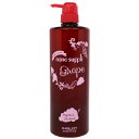 サニープレイス ナノサプリ エッセンス トリートメント グレープ 1000ml サニープレイス SUNNYPLACE ナノサプリ ヘアオペ トリートメント サロン専売品 美容師