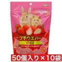 スドー プチウエハー いちご 50個入 ×10袋セット 国産 ウサギ おさつ うさぎ ウエハース