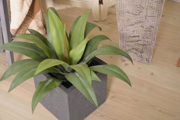 フェイクグリーン アガベ 約W53×D53×H53 GRN-14 フェイクグリーン おしゃれ 人工観葉 観葉植物 インテリア 造花 リーフ （メーカー直送）【東谷】