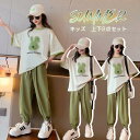 上下セット 女の子 キッズ 半袖Tシャツ スウェットパンツ おしゃれ シンプル 部屋着 パジャマ セットアップ 夏服 運動着 無地 春夏 ルームウェア 薄手 おすすめ