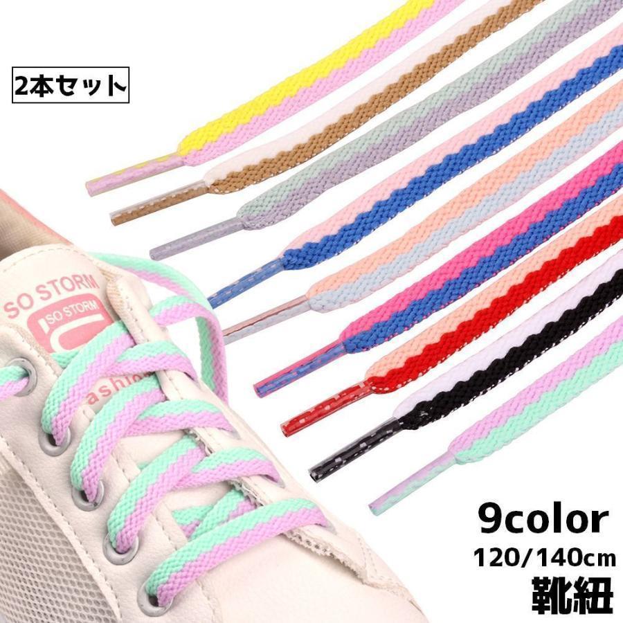 靴紐 靴ひも 2本セット シューレース レディース メンズ 女性 男性 男女兼用 120cm 140cm 平紐 バイカラー 2色 スニーカー シューズ