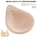乳がんパッド 乳がん 全摘 パット 乳がん用 パッド 人工乳房 乳がん専用 ボディメイク バスト補正 肩こり 乳がんパット 軽量フルカップ 空洞パッド