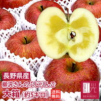 果物 長野県の完熟リンゴ ふじリンゴ(長野県立科町、柳沢さん栽培)