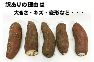【訳あり】 紅はるか さつまいも 10kg 「北海道・沖縄・その他離島は送料+1100円」 甘藷 甘薯 お得 家庭用