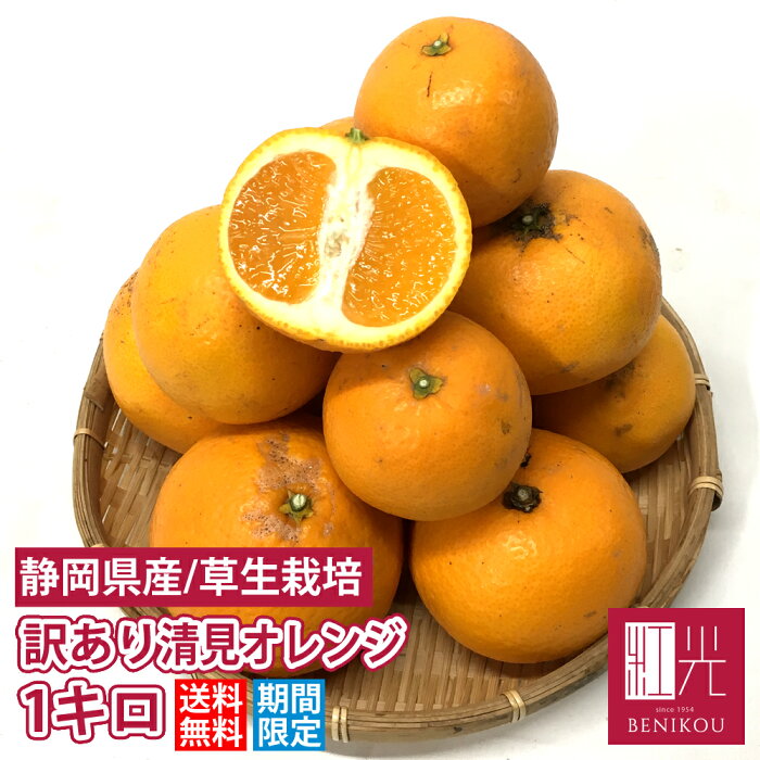 すべての美しい花の画像 最高清見 オレンジ 育て 方 すべての美しい花の画像 最高清見 オレンジ 育て 方