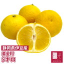  N[  唠 (5kg) ÉÎsY S[fIW ukCE͕ʓr+1100~v ݂ ~J  k ʕ t[c 蕨 Mtg  ƒp    Gߌ  fruit  